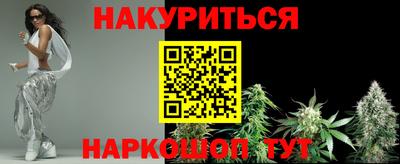 a pvp Камышлов