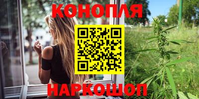 a pvp Камышлов