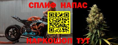 a pvp Камышлов