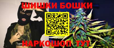 a pvp Камышлов
