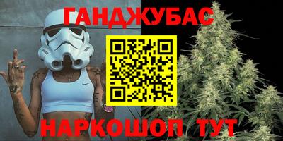 a pvp Камышлов